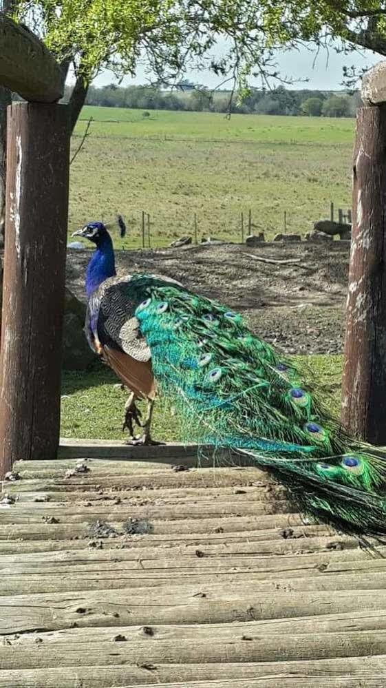 Estancia Turistica Finca Piedra Mal Abrigo Buitenkant foto