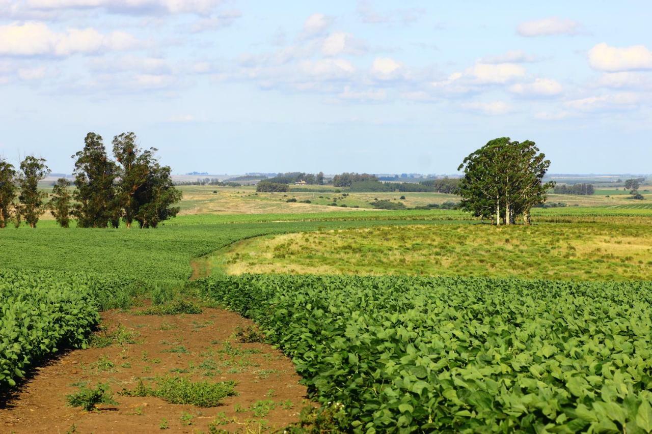 Estancia Turistica Finca Piedra Mal Abrigo Buitenkant foto